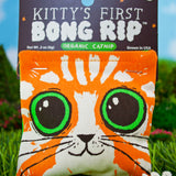 Kitty's First Rip Catnip Toy