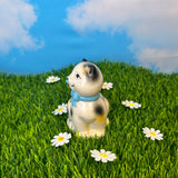 Kitty Match Striker- Calico