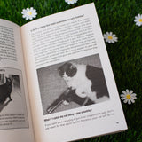 How to Talk to Your Cat About Gun Safety Book