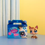 Littlest Pet Shop Blind Box