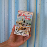 Life with Cats Blind Box