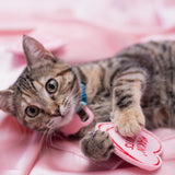 Makin Biscuits Cat Toy