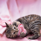 Makin Biscuits Cat Toy