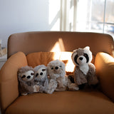 Raccoon Warmie