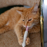 Catnip Joint Toy