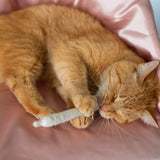 Catnip Joint Toy