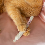 Catnip Joint Toy
