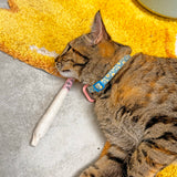 Catnip Joint Toy