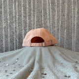 Smut Reading Champ Hat