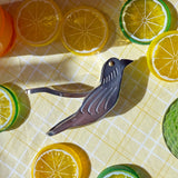 Bird Juicer